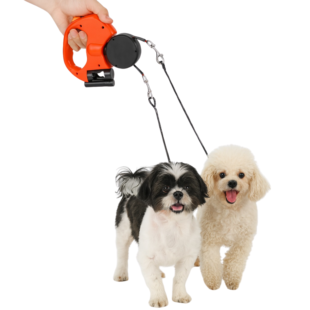 Combo correa y amolador para mascotas